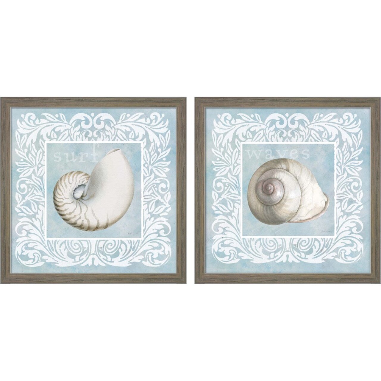 Sandy Shells on Blue - Nautilus & Snail by Beth Grove, 2 Piece Rustic Grey Framed Art Set